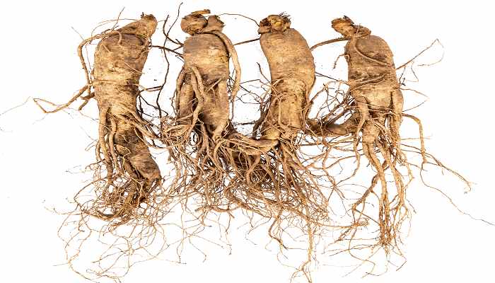 �첻ʳ�ݵĹ�Ч������ �첻ʳ�ݵĹ�Ч����Щ